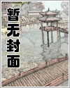 幕府将军本纪免费阅读