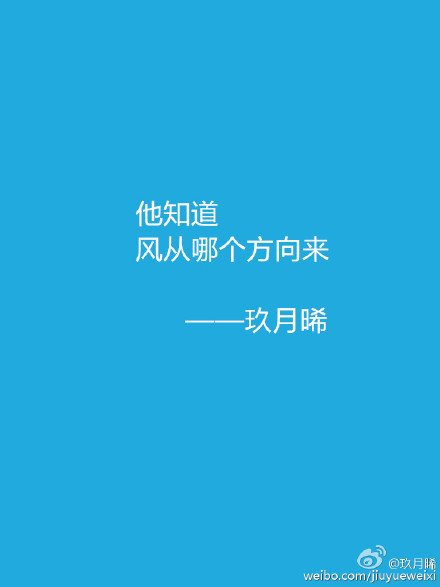 他知道风从哪个方向来全文阅读