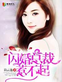 闪婚总裁惹不起无极小说