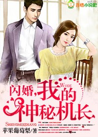 闪婚之邂逅神秘机长