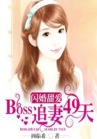 闪婚甜爱:BOSS追妻49天 小说