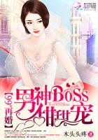 99°再婚:男神boss甜甜宠 小说