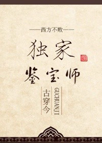 鉴宝宗师小说