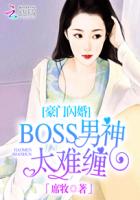 豪门闪婚:BOSS男神太难缠沈木易