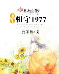 重生相守1977抄袭