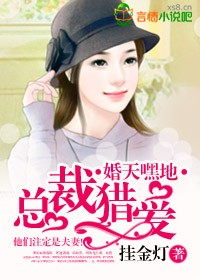 婚浅情深:总裁的天价前妻