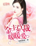 男主是总裁女主叫暖暖