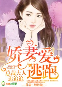 娇妻爱逃跑,总裁大人追追追