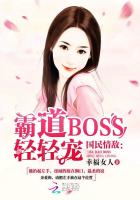 国民情敌：霸道BOSS,轻轻宠