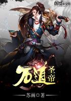 万道帝师简介