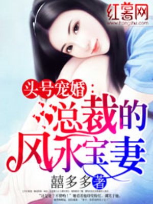 总裁珠光宝妻小说