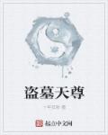 盗墓天师小说