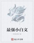 小白文什么意思