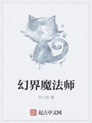 魔幻法师小说