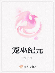 师巫纪元