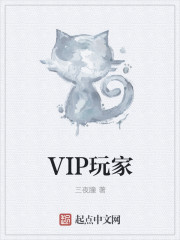 vip玩家小说