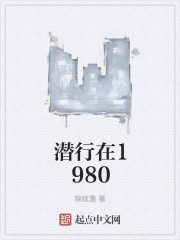 我在1980有个家小说