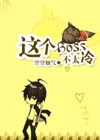 这个boss不太冷 小说