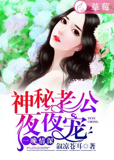 一夜蜜宠