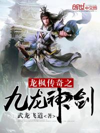 龙枫传奇之九龙神剑 武龙飞道