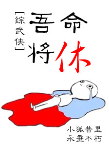 综武侠小说吾命将休