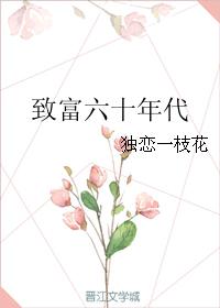 六零年代发家致富 小说