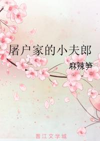 屠户家的小夫郎 作者:麻辣笋晋江