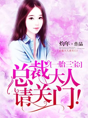 一胎三宝总裁大人给力宠