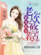 甜蜜隐婚:老公大人宠上瘾