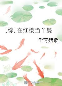 在红楼当丫鬟综全文免费阅读