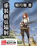 重装机兵副武器全部伤害