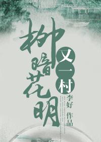 柳暗花明又一村作文600字