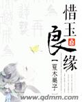 瑾玉良缘 小说