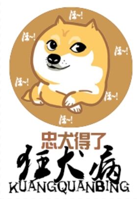 感染狂犬病的狗