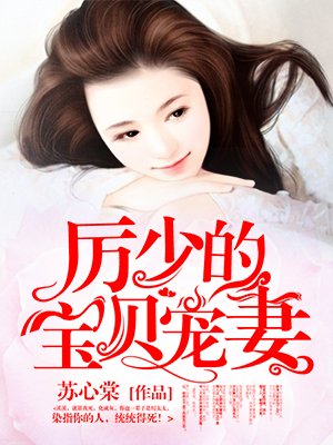 帝少的宝贝宠妻完整版