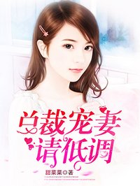 总裁宠妻请低调 小说