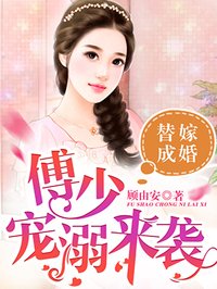 傅少宠妻甜入骨小说