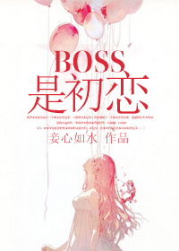 boss是我